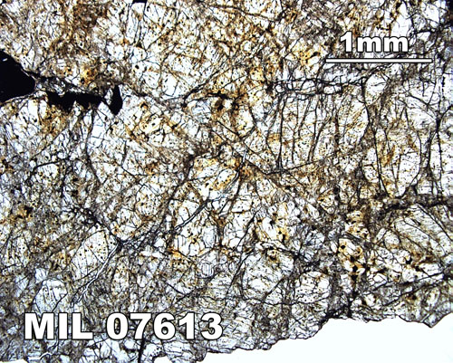 Thin Section Photograph of Sample MIL 07613 in Plane-Polarized Light at 2.5x Magnification