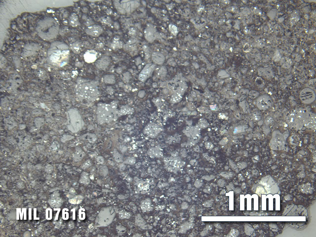 Thin Section Photo of Sample MIL 07616 at 2.5X Magnification in Reflected Light