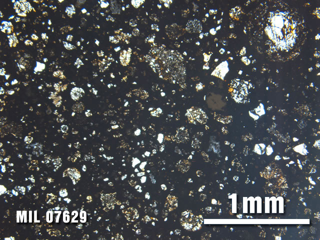 Thin Section Photo of Sample MIL 07629 at 2.5X Magnification in Plane-Polarized Light