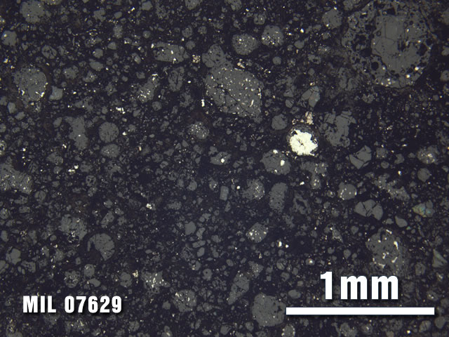 Thin Section Photo of Sample MIL 07629 at 2.5X Magnification in Reflected Light