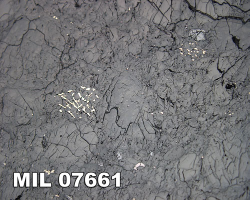 Thin Section Photograph of Sample MIL 07661 in Reflected Light at 10x Magnification