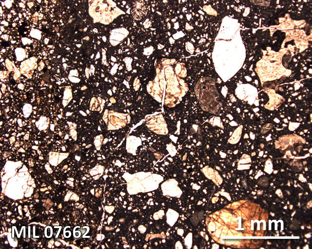 Thin Section Photograph of Sample MIL 07662 in Plane-Polarized Light
