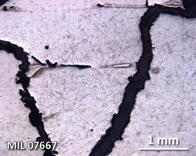 Thin Section Photograph of Sample MIL 07667 in Reflected Light