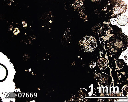 Thin Section Photograph of Sample MIL 07669 in Plane-Polarized Light