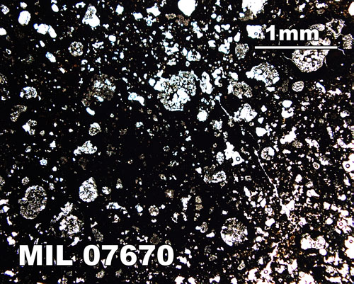 Thin Section Photograph of Sample MIL 07670 in Plane-Polarized Light at 2.5x Magnification