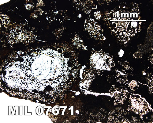 Thin Section Photograph of Sample MIL 07671 in Plane-Polarized Light at 2.5x Magnification