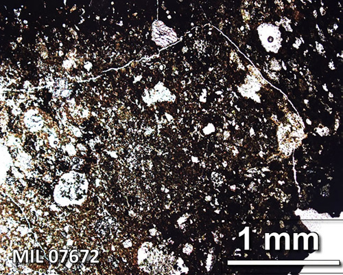 Thin Section Photograph of Sample MIL 07672 in Plane-Polarized Light