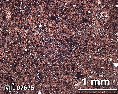 Thin Section Photograph of Sample MIL 07675 in Reflected Light