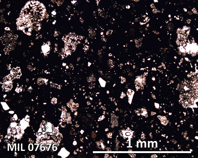Thin Section Photograph of Sample MIL 07676 in Plane-Polarized Light