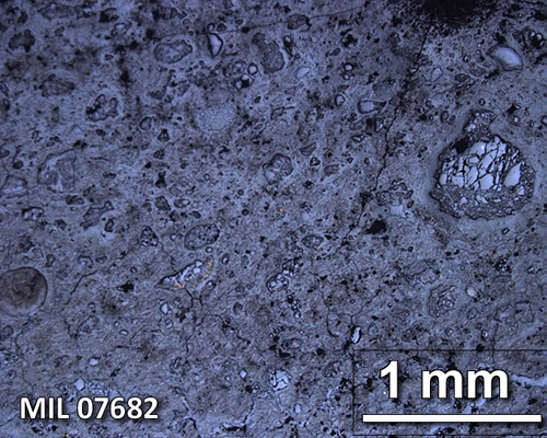 Thin Section Photograph of Sample MIL 07682 in Reflected Light