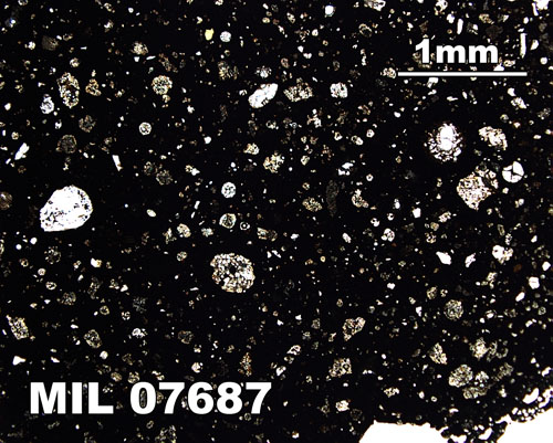 Thin Section Photograph of Sample MIL 07687 in Plane-Polarized Light at 2.5x Magnification