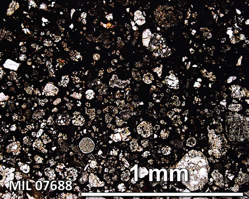 Thin Section Photograph of Sample MIL 07688 in Plane-Polarized Light
