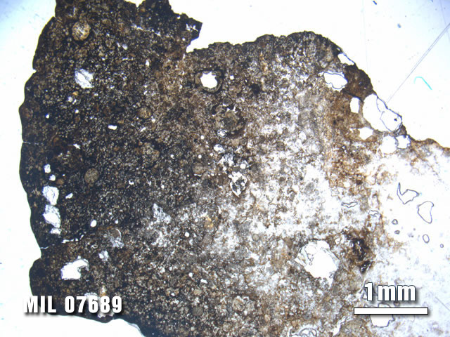 Thin Section Photo of Sample MIL 07689 at 1.25X Magnification in Plane-Polarized Light