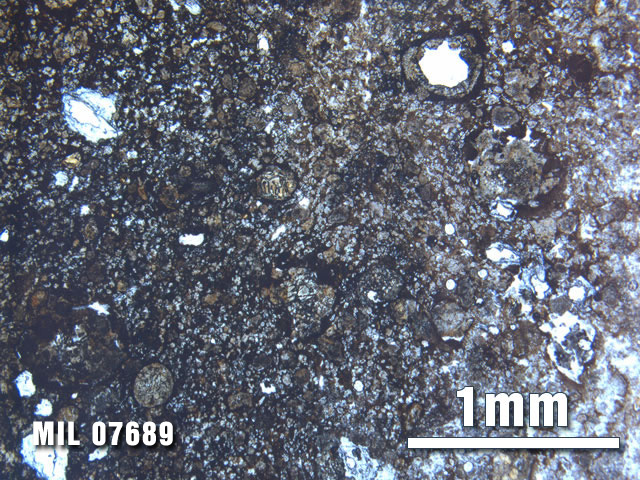 Thin Section Photo of Sample MIL 07689 at 2.5X Magnification in Plane-Polarized Light