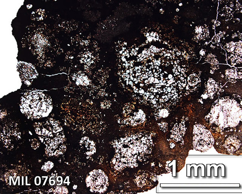 Thin Section Photograph of Sample MIL 07694 in Plane-Polarized Light