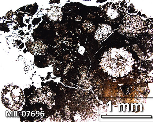 Thin Section Photograph of Sample MIL 07696 in Plane-Polarized Light
