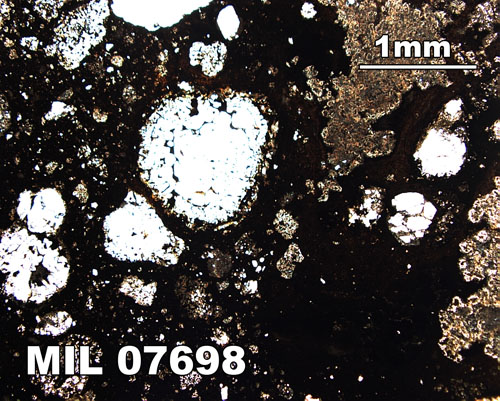 Thin Section Photograph of Sample MIL 07698 in Plane-Polarized Light at 2.5x Magnification