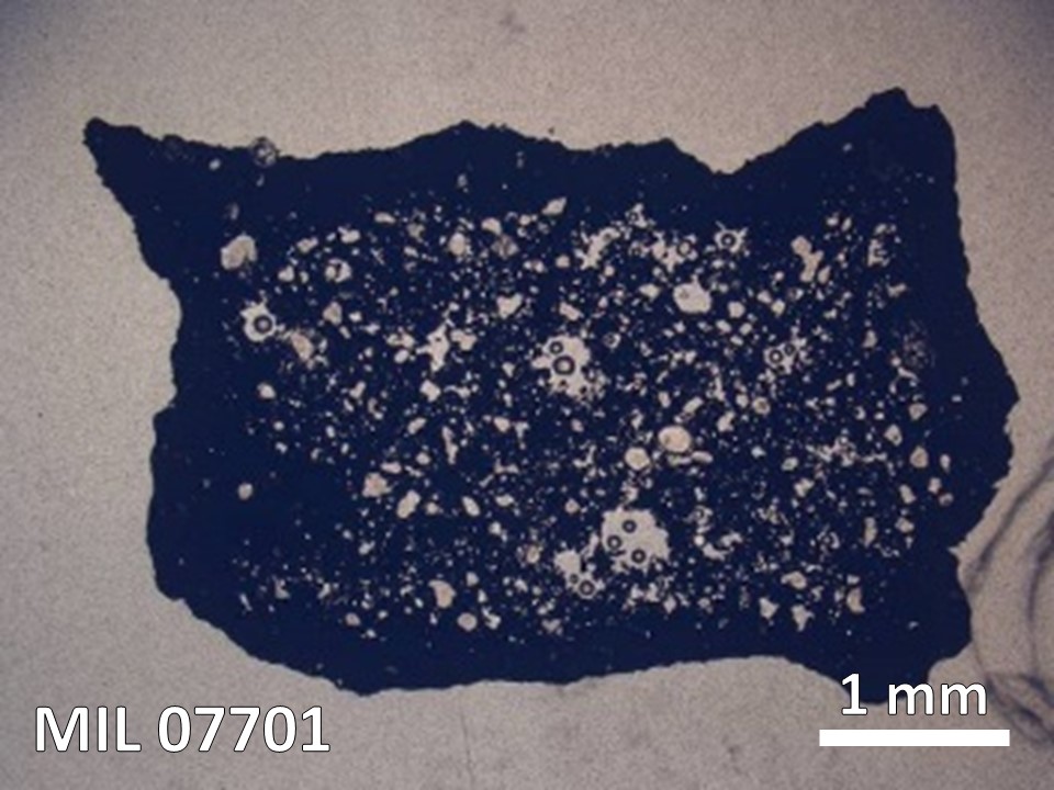 Thin Section Photo of Sample MIL 07701 in Plane-Polarized Light with  Magnification