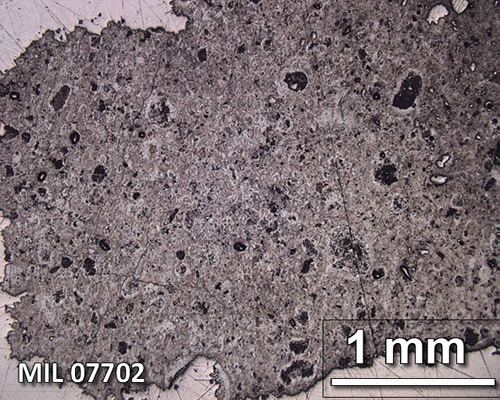 Thin Section Photograph of Sample MIL 07702 in Reflected Light