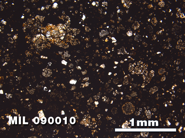 Thin Section Photo of Sample MIL 090010 in Plane-Polarized Light with 2.5X Magnification