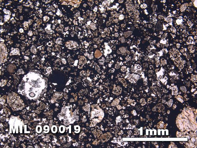 Thin Section Photo of Sample MIL 090019 at 2.5X Magnification in Plane-Polarized Light