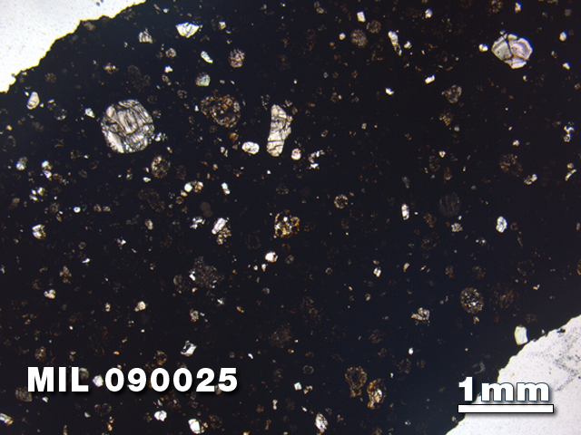 Thin Section Photo of Sample MIL 090025 in Plane-Polarized Light with 1.25X Magnification