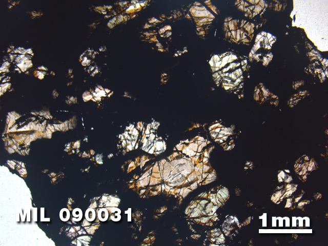 Thin Section Photo of Sample MIL 090031 in Plane-Polarized Light with 1.25X Magnification