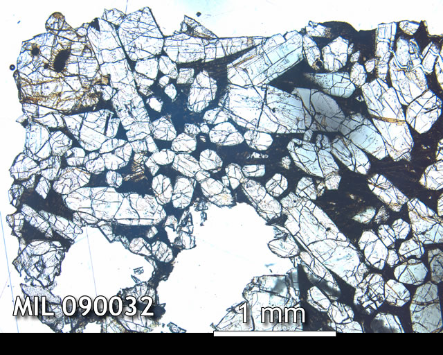 Thin Section Photo of Sample MIL 090032 in Plane-Polarized Light with 2.5x Magnification