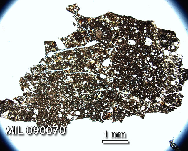 Thin Section Photo of Sample MIL 090070 in Plane-Polarized Light with 1.25x Magnification