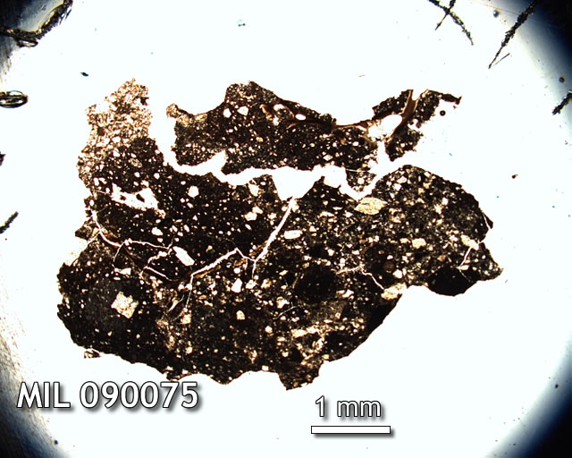 Thin Section Photo of Sample MIL 090075 in Plane-Polarized Light with 1.25x Magnification
