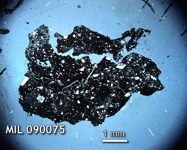 Thin Section Photo of Sample MIL 090075 in Cross-Polarized Light with 1.25x Magnification