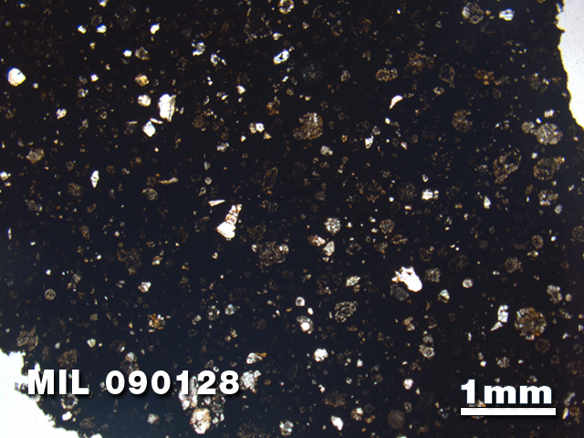 Thin Section Photo of Sample MIL 090128 in Plane-Polarized Light with 1.25X Magnification