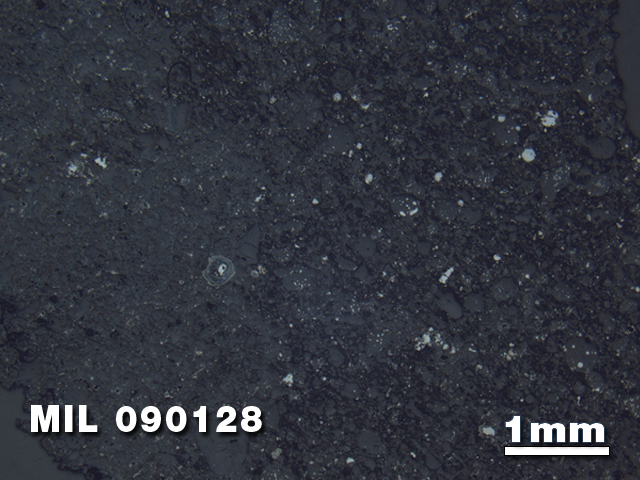 Thin Section Photo of Sample MIL 090128 in Reflected Light with 1.25X Magnification