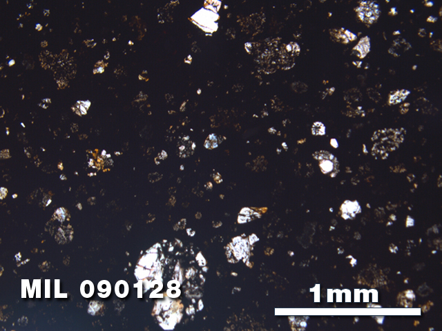 Thin Section Photo of Sample MIL 090128 in Plane-Polarized Light with 2.5X Magnification