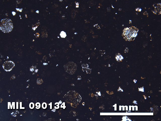 Thin Section Photo of Sample MIL 090134 in Plane-Polarized Light with 2.5X Magnification