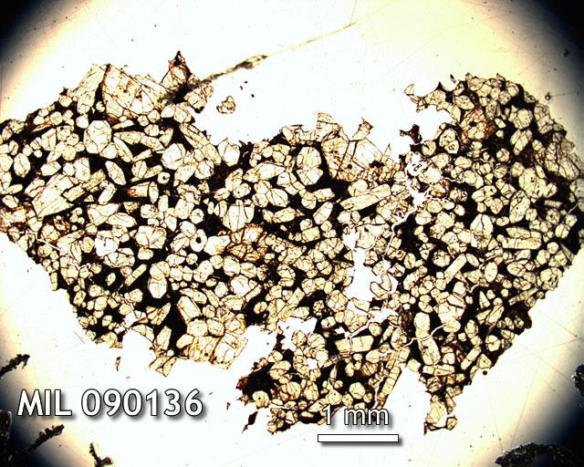Thin Section Photo of Sample MIL 090136 in Plane-Polarized Light with 1.25x Magnification