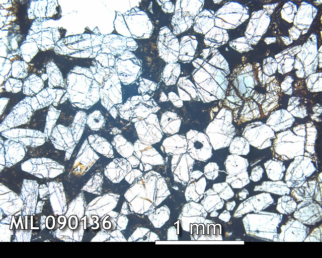 Thin Section Photo of Sample MIL 090136 in Plane-Polarized Light with 2.5x Magnification