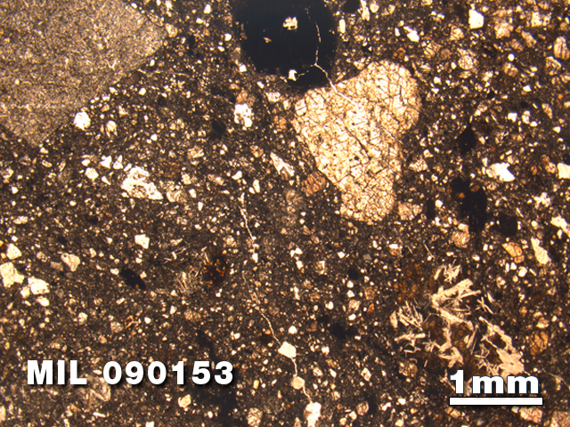 Thin Section Photo of Sample MIL 090153 at 1.25X Magnification in Plane-Polarized Light