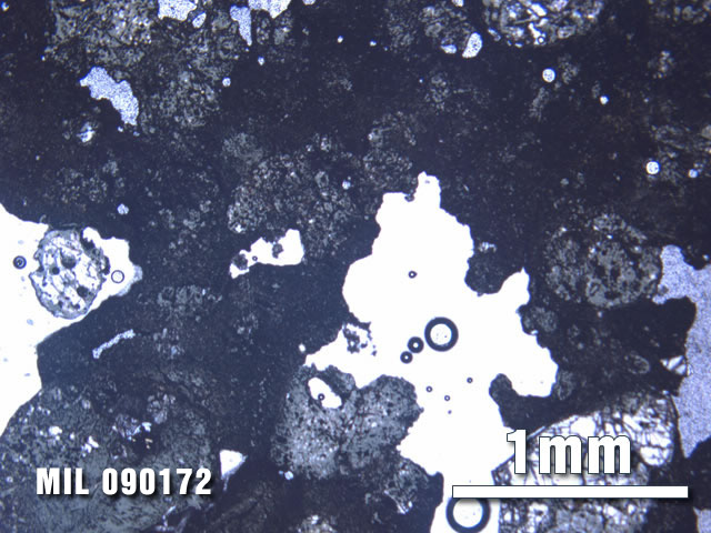 Thin Section Photo of Sample MIL 090172 at 2.5X Magnification in Plane-Polarized Light