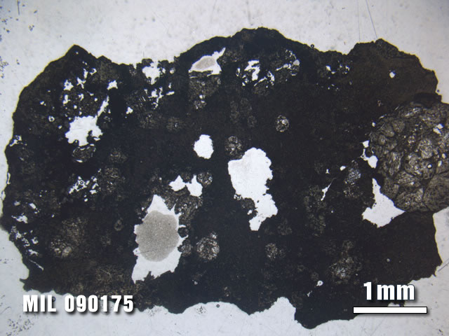 Thin Section Photo of Sample MIL 090175 at 1.25X Magnification in Plane-Polarized Light