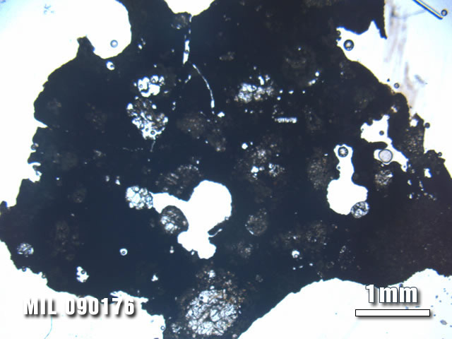 Thin Section Photo of Sample MIL 090176 at 1.25X Magnification in Plane-Polarized Light