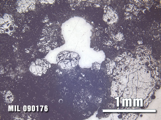 Thin Section Photo of Sample MIL 090176 at 2.5X Magnification in Reflected Light