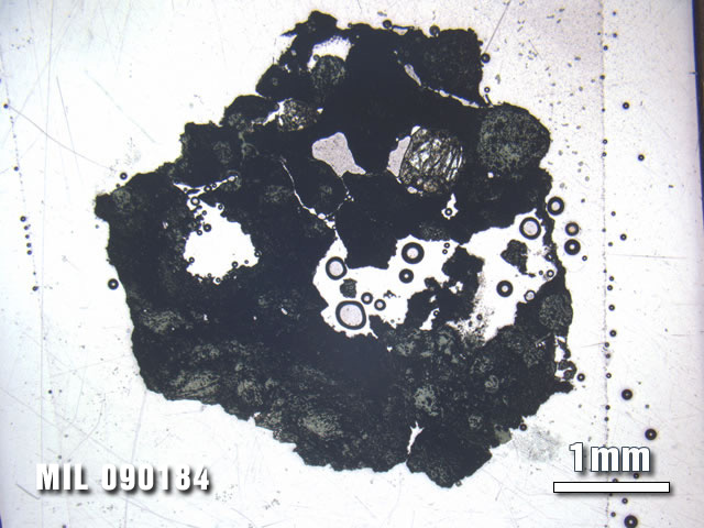 Thin Section Photo of Sample MIL 090184 at 1.25X Magnification in Plane-Polarized Light
