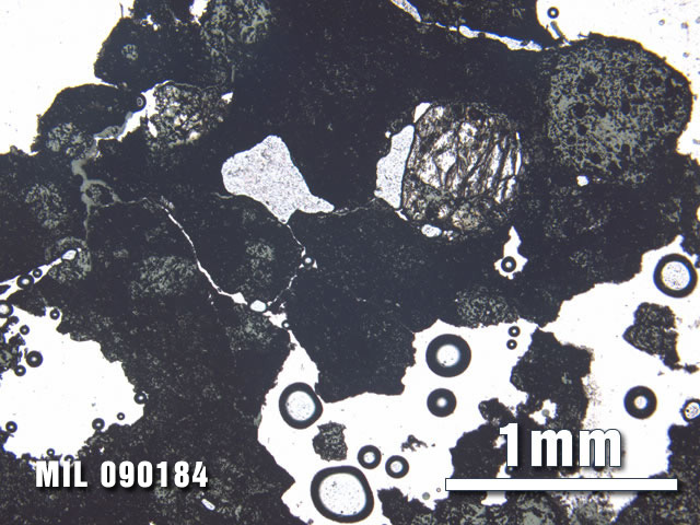 Thin Section Photo of Sample MIL 090184 at 2.5X Magnification in Plane-Polarized Light