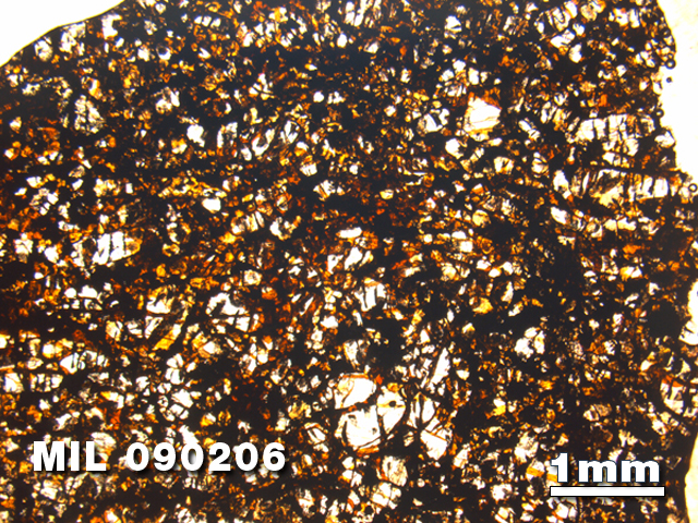 Thin Section Photo of Sample MIL 090206 at 1.25X Magnification in Plane-Polarized Light