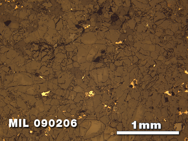 Thin Section Photo of Sample MIL 090206 at 2.5X Magnification in Reflected Light