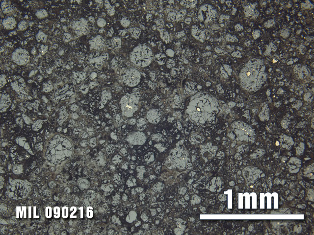 Thin Section Photo of Sample MIL 090216 at 2.5X Magnification in Reflected Light