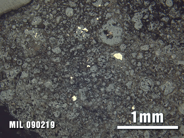 Thin Section Photo of Sample MIL 090219 at 2.5X Magnification in Reflected Light