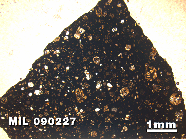 Thin Section Photo of Sample MIL 090227 at 1.25X Magnification in Plane-Polarized Light