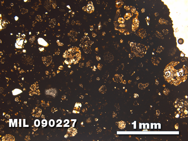 Thin Section Photo of Sample MIL 090227 at 2.5X Magnification in Plane-Polarized Light